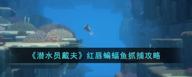 潜水员戴夫红唇蝙蝠鱼抓捕攻略