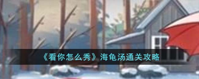 看你怎么秀海龟汤通关攻略