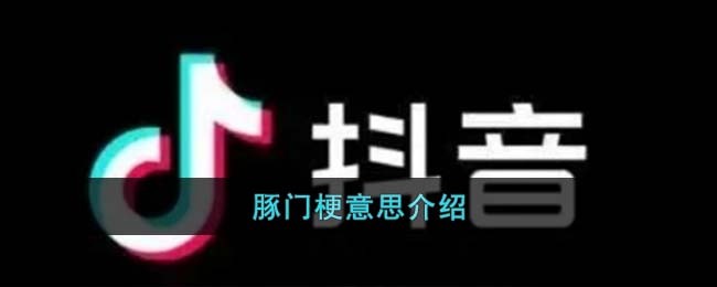 豚门梗意思介绍