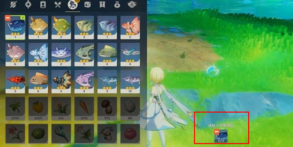 原神4.0空军钓鱼佬怎么做 4.0空军钓鱼佬隐藏任务攻略[多图]图片3