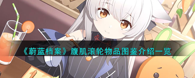 蔚蓝档案腹肌滚轮物品图鉴介绍一览