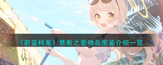 蔚蓝档案禁断之爱物品图鉴介绍一览