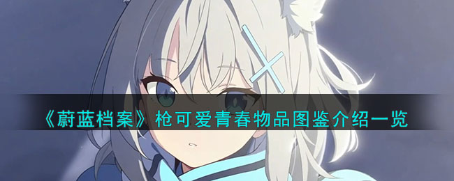 蔚蓝档案枪可爱青春物品图鉴介绍一览