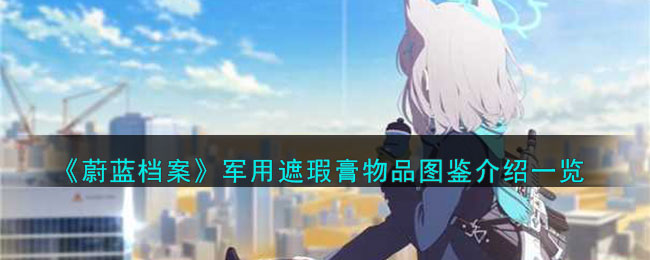 蔚蓝档案军用遮瑕膏物品图鉴介绍一览