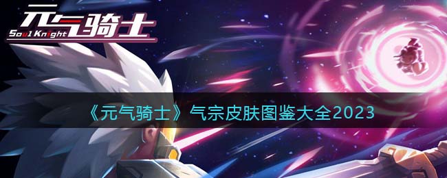 元气骑士气宗皮肤图鉴大全2023