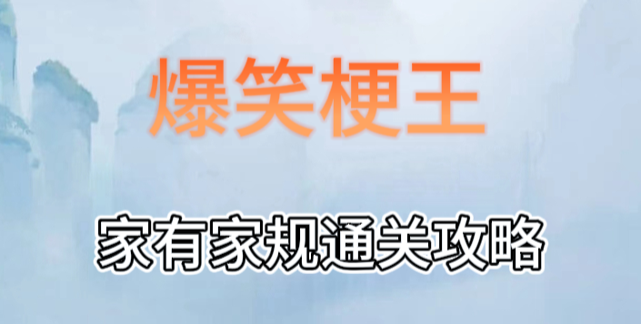 爆笑梗王家有家规攻略