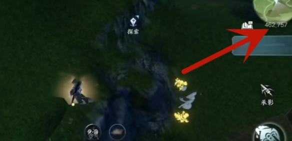 逆水寒手游琥珀花在哪里 琥珀花位置介绍[多图]图片3