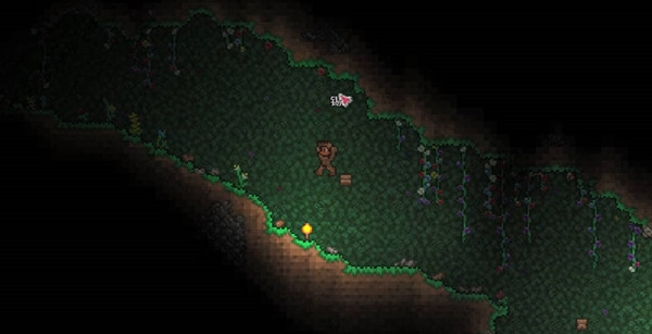 泰拉瑞亚渔夫任务奖励大全