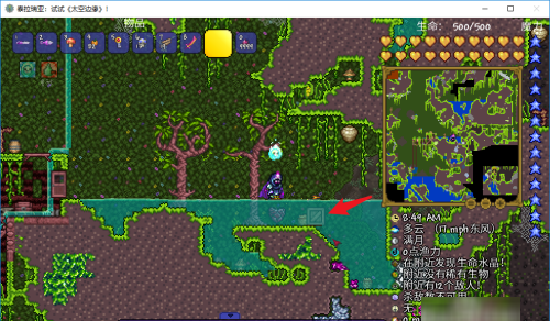 泰拉瑞亚自动锤炼机怎么弄图2