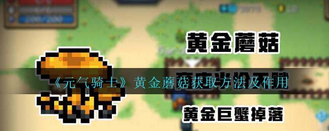 元气骑士黄金蘑菇获取方法及作用