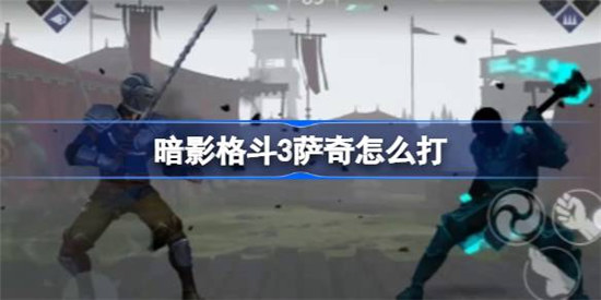 暗影格斗3萨奇该怎么打 暗影格斗3打败萨奇方法