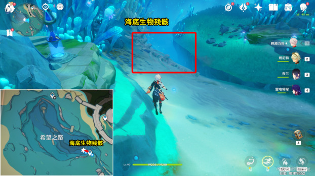 原神光影研学旖旎水界第五天流程攻略