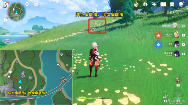 原神光影研学旖旎水界第四天流程攻略