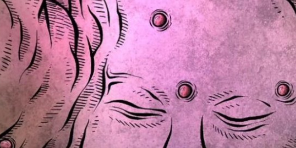 猫博物馆第一关大厅怎么过图3