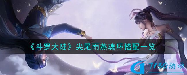 **** 尖尾雨燕魂环搭配推荐