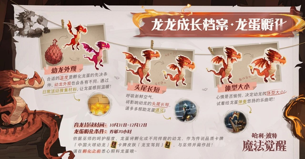 哈利波特魔法觉醒中国火球幼龙介绍 哈利波特魔法觉醒新卡牌中国火球幼龙图8