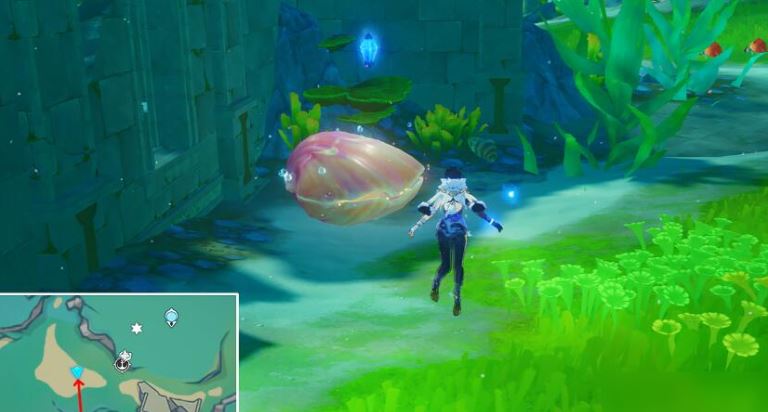 原神虹彩蔷薇的宝藏怎么获得 原神虹彩蔷薇的宝藏获得方法分享图3