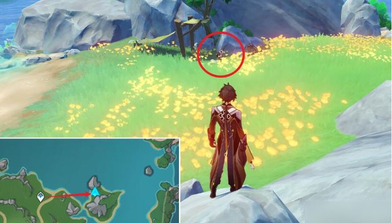 原神虹彩蔷薇的宝藏怎么获得 原神虹彩蔷薇的宝藏获得方法分享图4