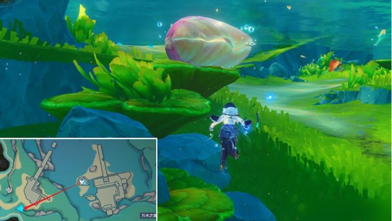 原神虹彩蔷薇的宝藏怎么获得 原神虹彩蔷薇的宝藏获得方法分享图5