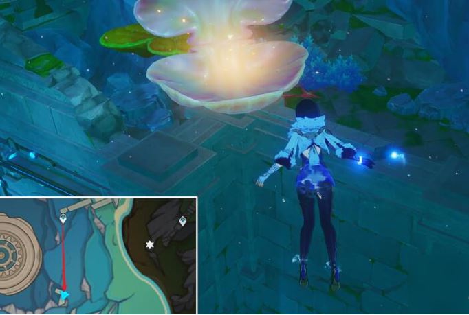 原神虹彩蔷薇的宝藏怎么获得 原神虹彩蔷薇的宝藏获得方法分享图12