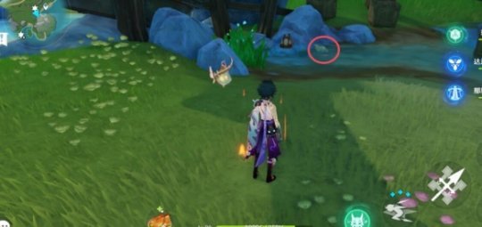 原神幽林枝一共有几个图13