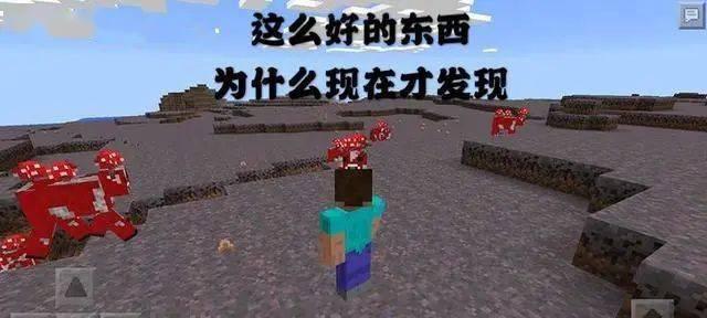 《我的世界》游戏里容易被忽略的实用技巧（掌握这些技巧，让你游戏更加顺畅）