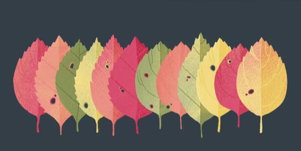 往左一点第四章怎么过图9