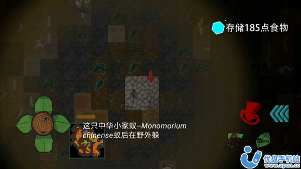 地下蚁国同人版