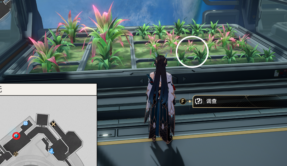 崩坏星穹铁道绿手指怎么解锁 崩坏星穹铁道绿手指成就攻略图3