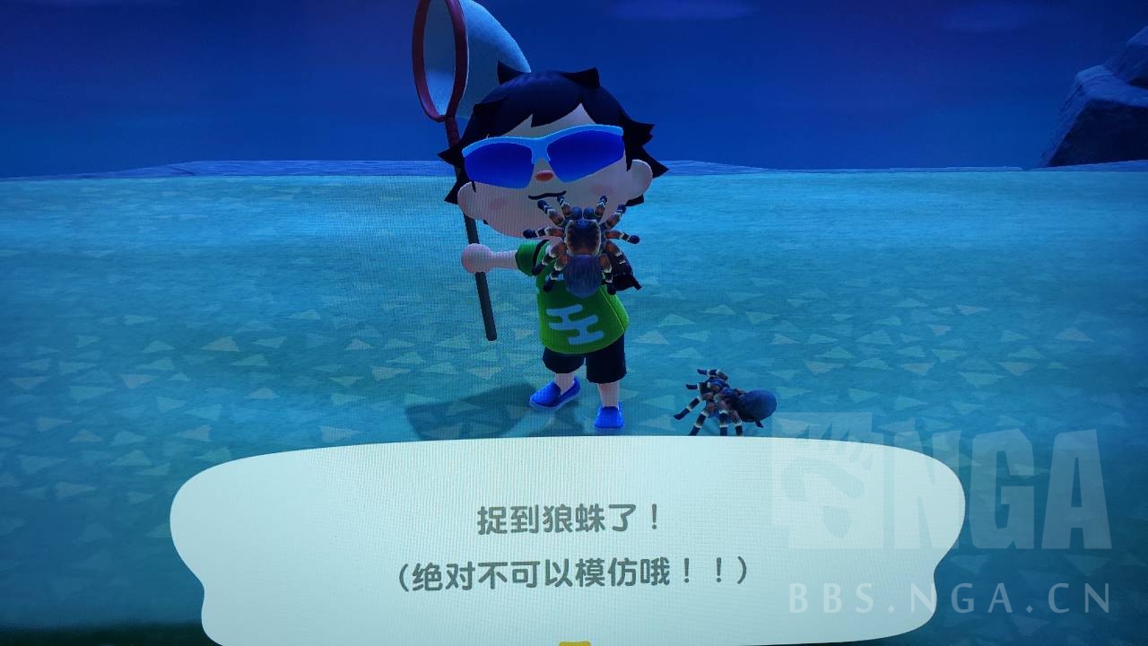 集合啦动物森友会如何自制狼蛛岛