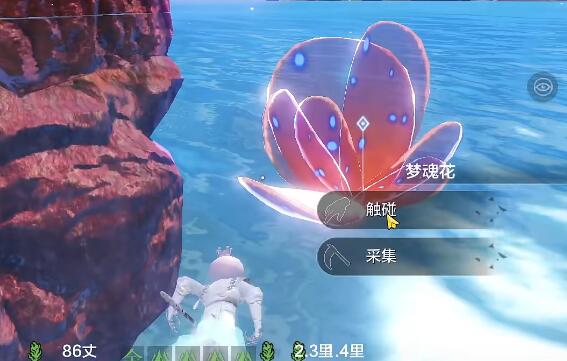 妄想山海南海经任务奖励是什么 妄想山海南海经任务奖励一览图3