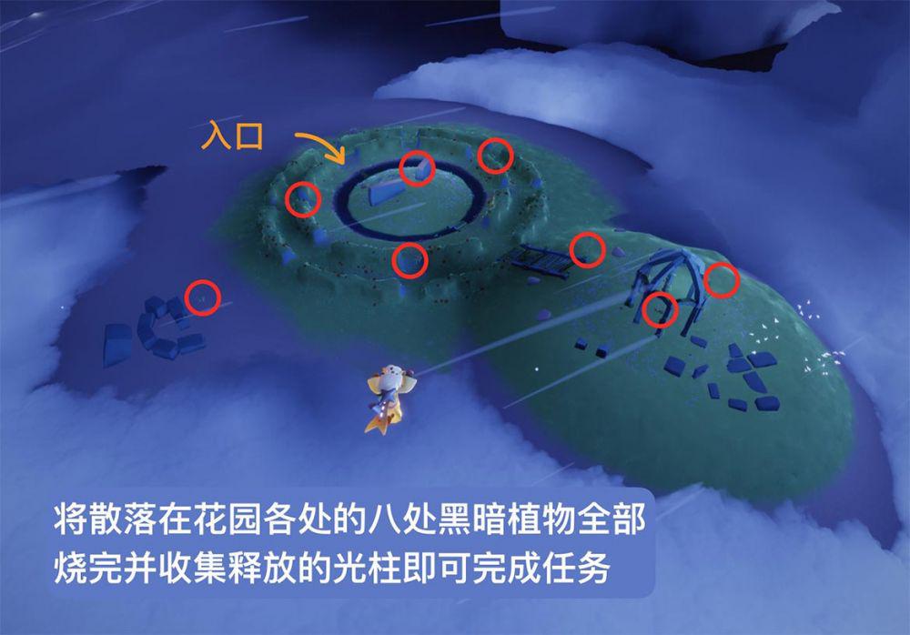 黑暗植物收集光束