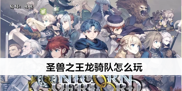 圣兽之王龙骑队怎么玩