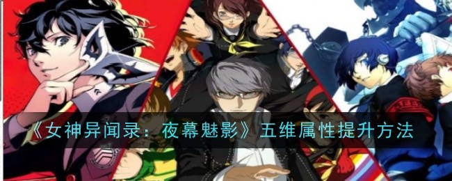 女神异闻录夜幕魅影五维属性提升方法