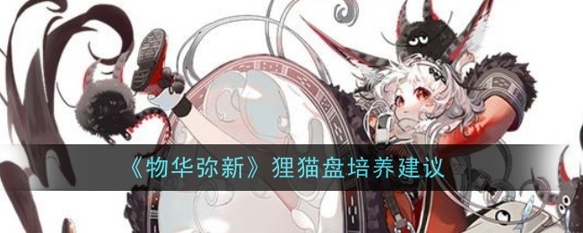 物华弥新狸猫盘培养建议