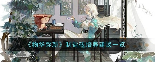 物华弥新制盐砖培养建议一览