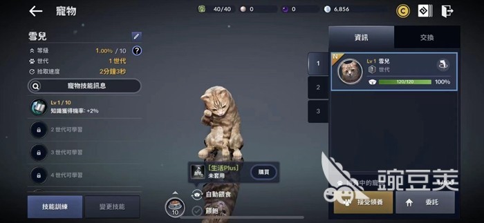 黑色沙漠手游宠物技能选择 宠物技能哪个好