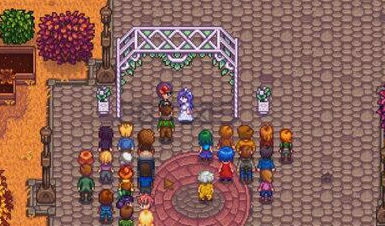 星露谷物语怎么结婚