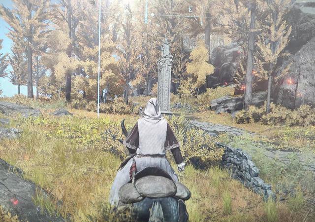 艾尔登法环结局攻略大全