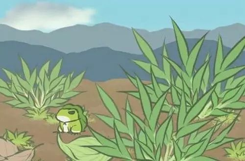 旅行青蛙home键刷三叶草方法一览 该怎么用home键刷三叶草？[多图]图片1