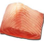 方舟生存进化优质生鱼肉获取攻略