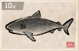 潜水员戴夫虎鲨怎么抓