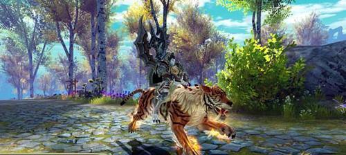 太极熊猫游戏平民装备搭配攻略