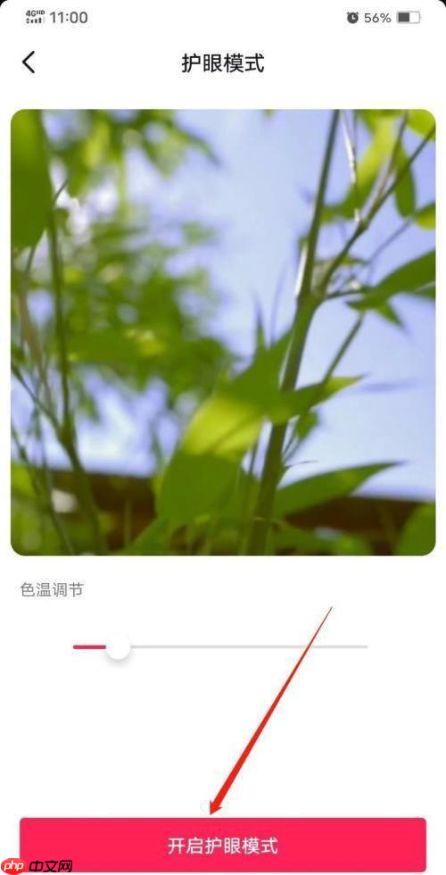 抖音极速版怎么设置护眼模式？抖音极速版设置护眼模式的方法