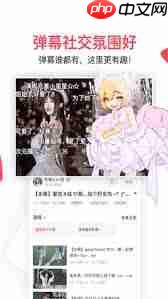 怎么在AcFun查看视频数据