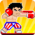 拳击战斗机下载安装苹果版