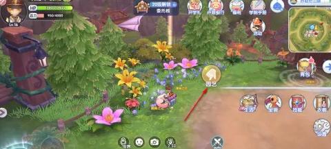 仙境传说新启航奥秘之花获取攻略