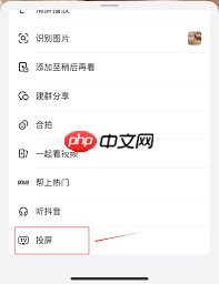 抖音如何投屏到电视