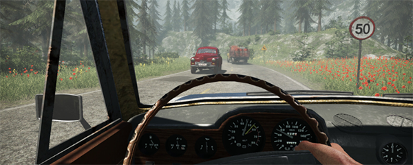 缉私边境警察模拟器