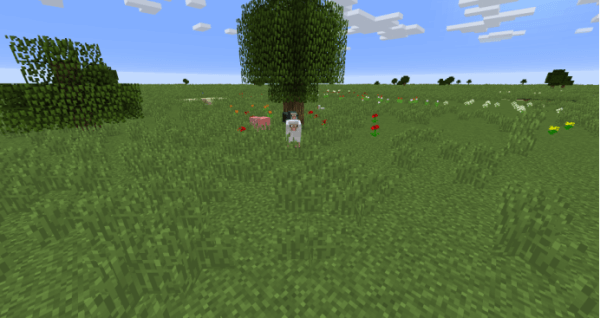 我的世界国际版